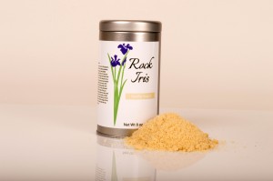 Rock Iris Vanilla Sugar